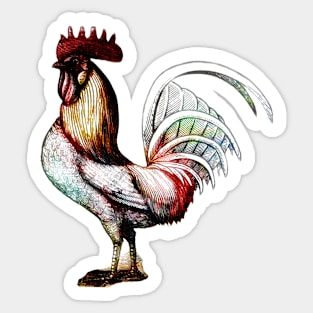 Vintage Rooster Sticker